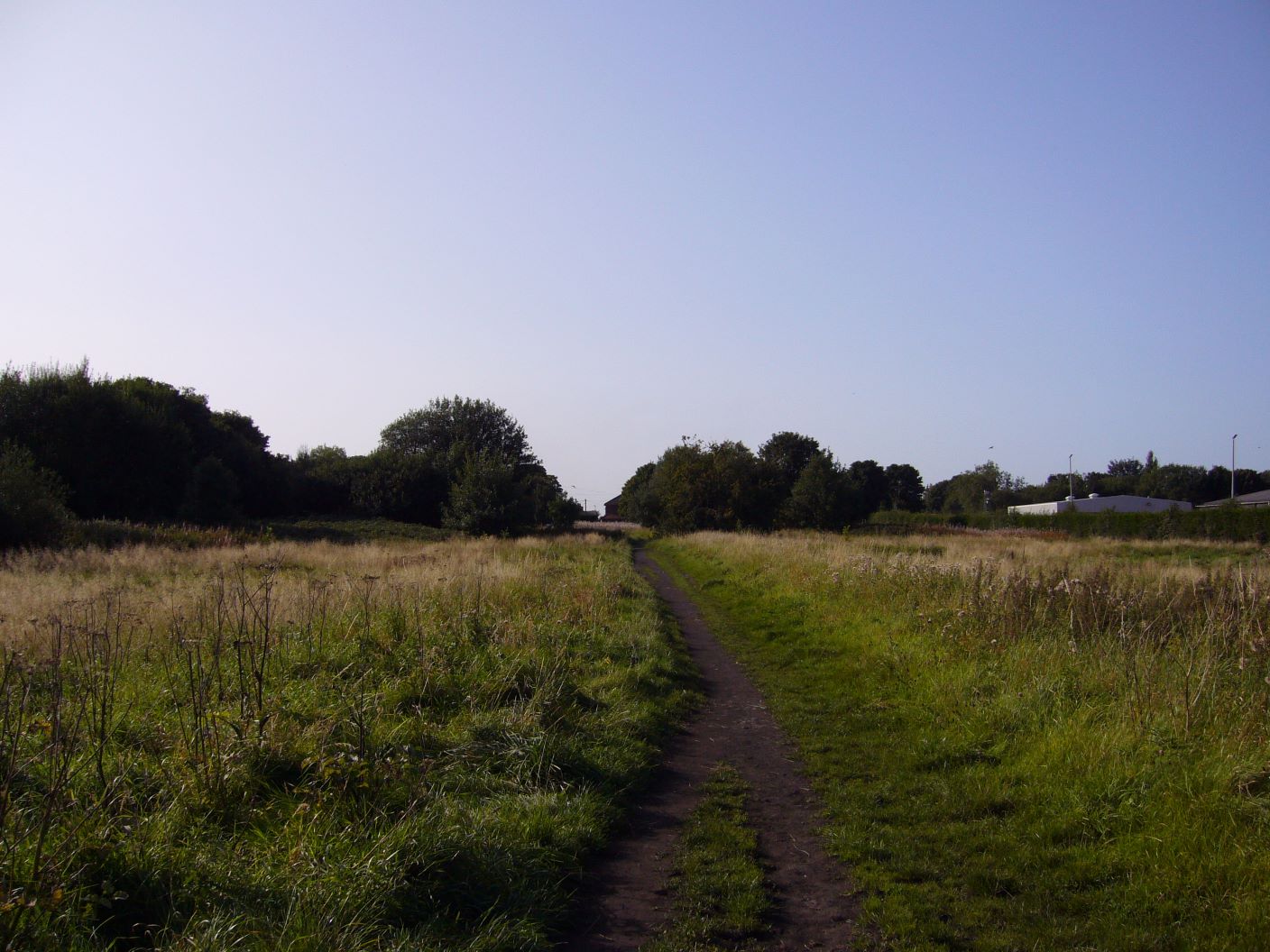 WalkToTongMoor_chapter2