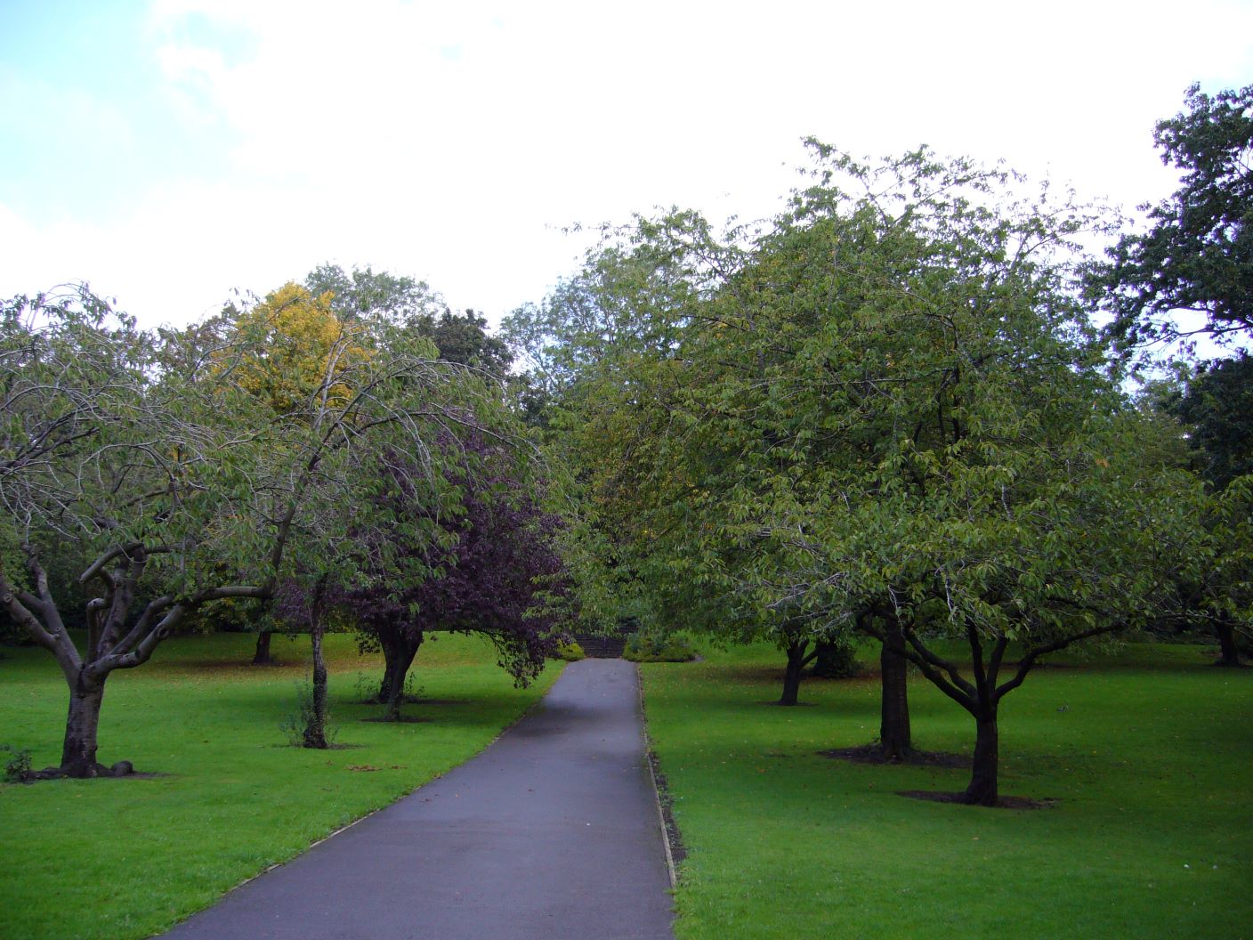 RoydsParkEnvirons_chapter4