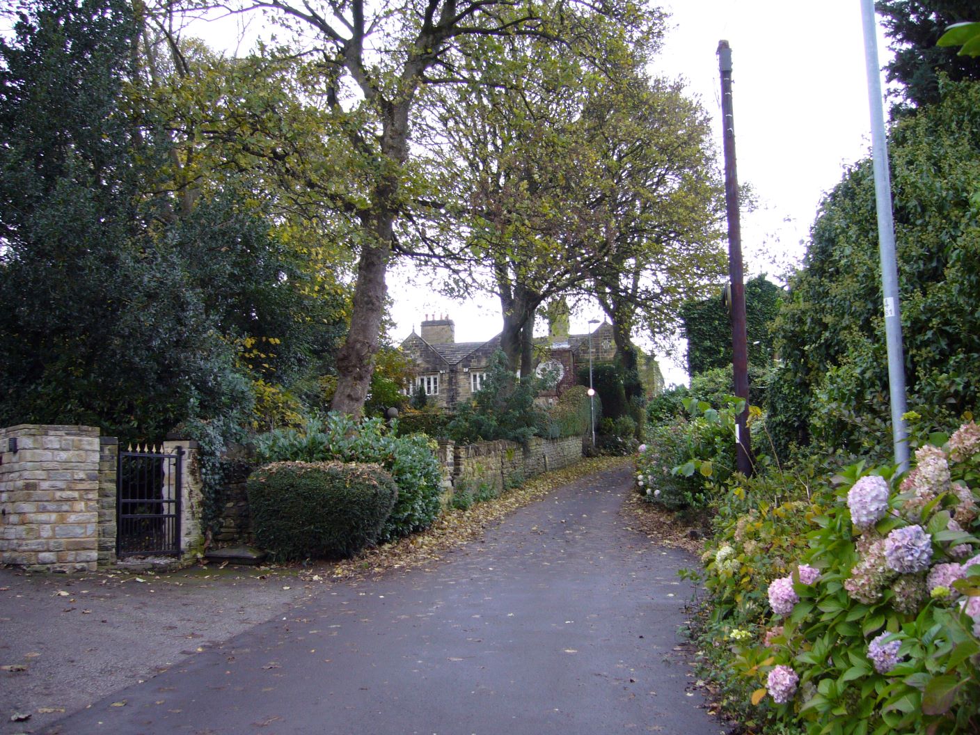 WalkToLumbHall_chapter6