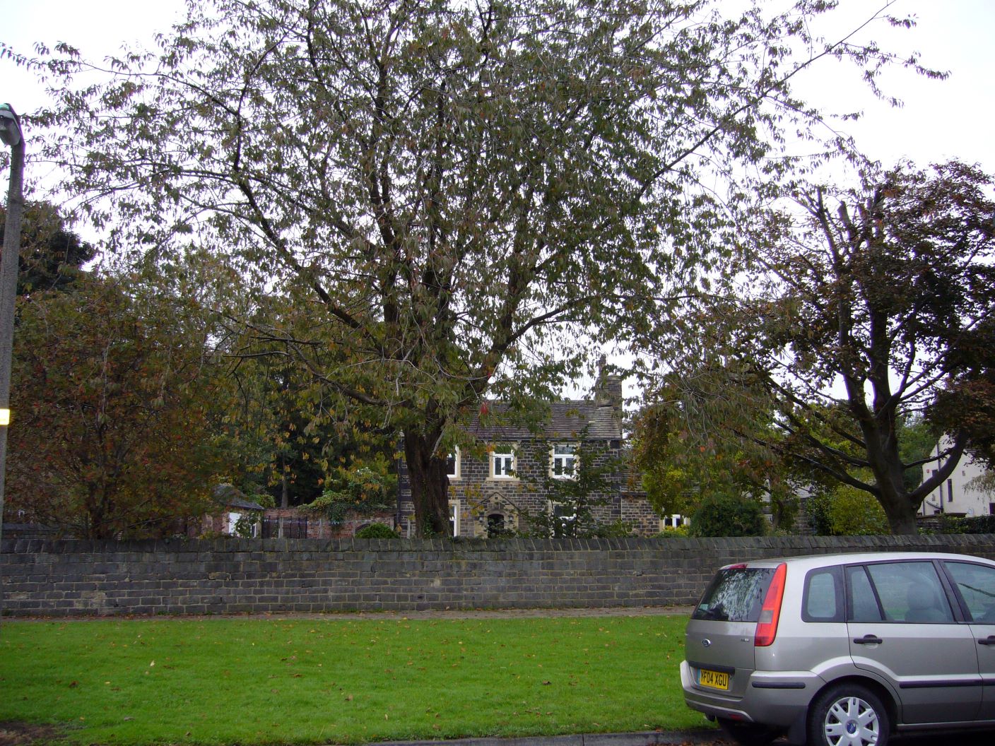 WalkAroundSalRoydAvenue_chapter7